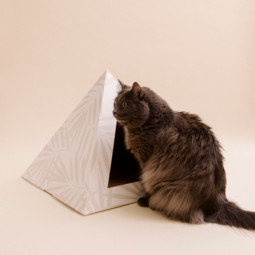 'Neutral Palm' Cardboard Cat Pyramid