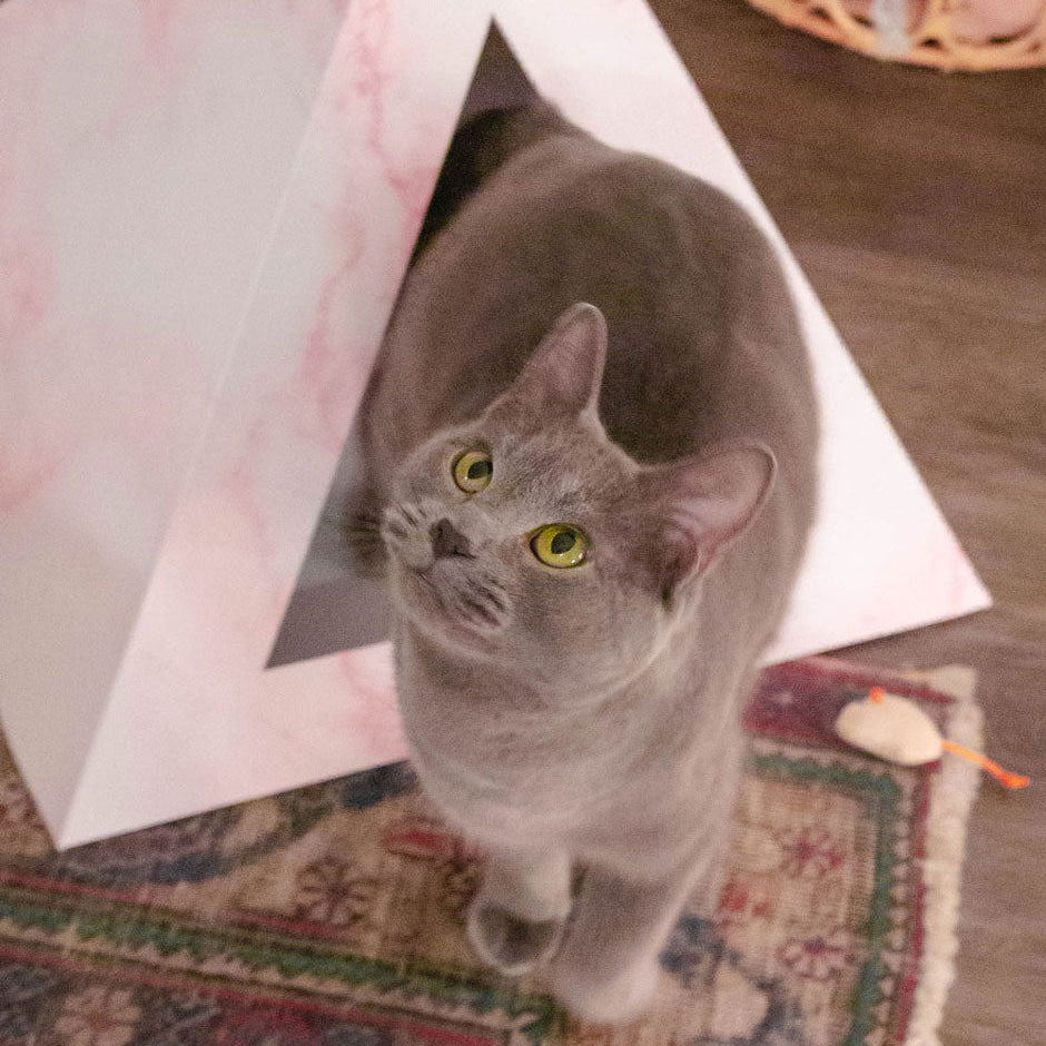 'Rose Quartz' Cardboard Cat Pyramid