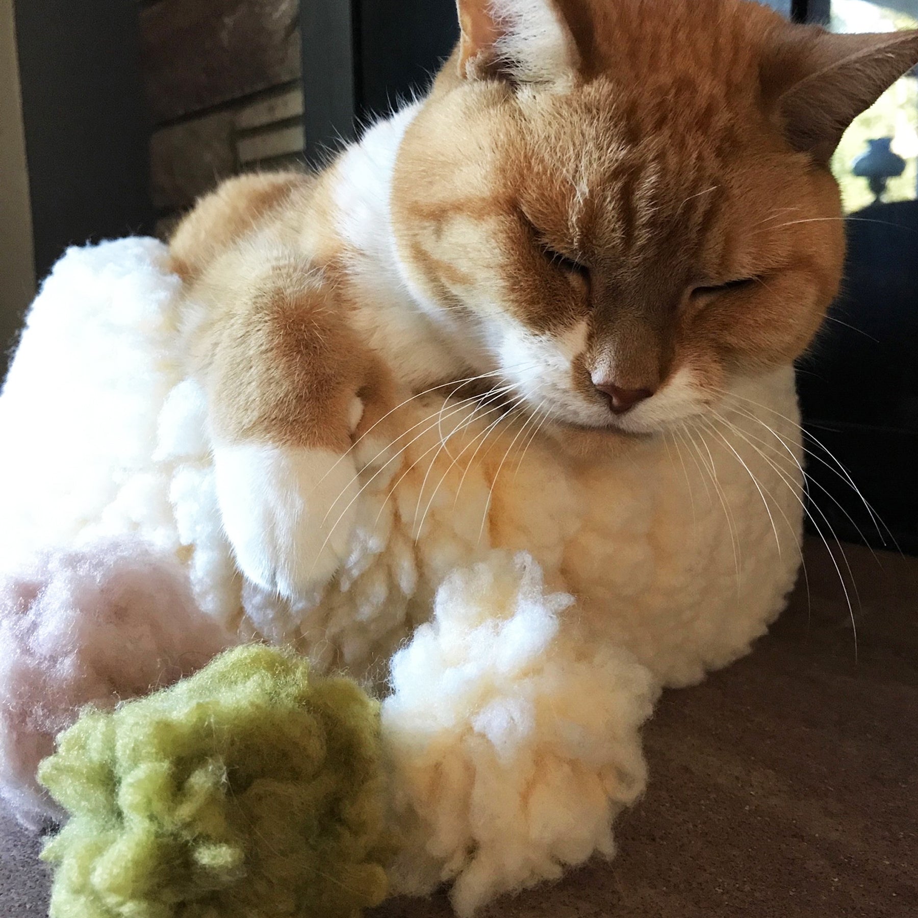 Orange and white cat lying on a fluffy white blanket with a green toy nearby.