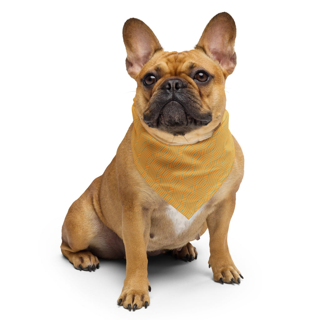 Cute French bulldog with orange bandana with blue waves.