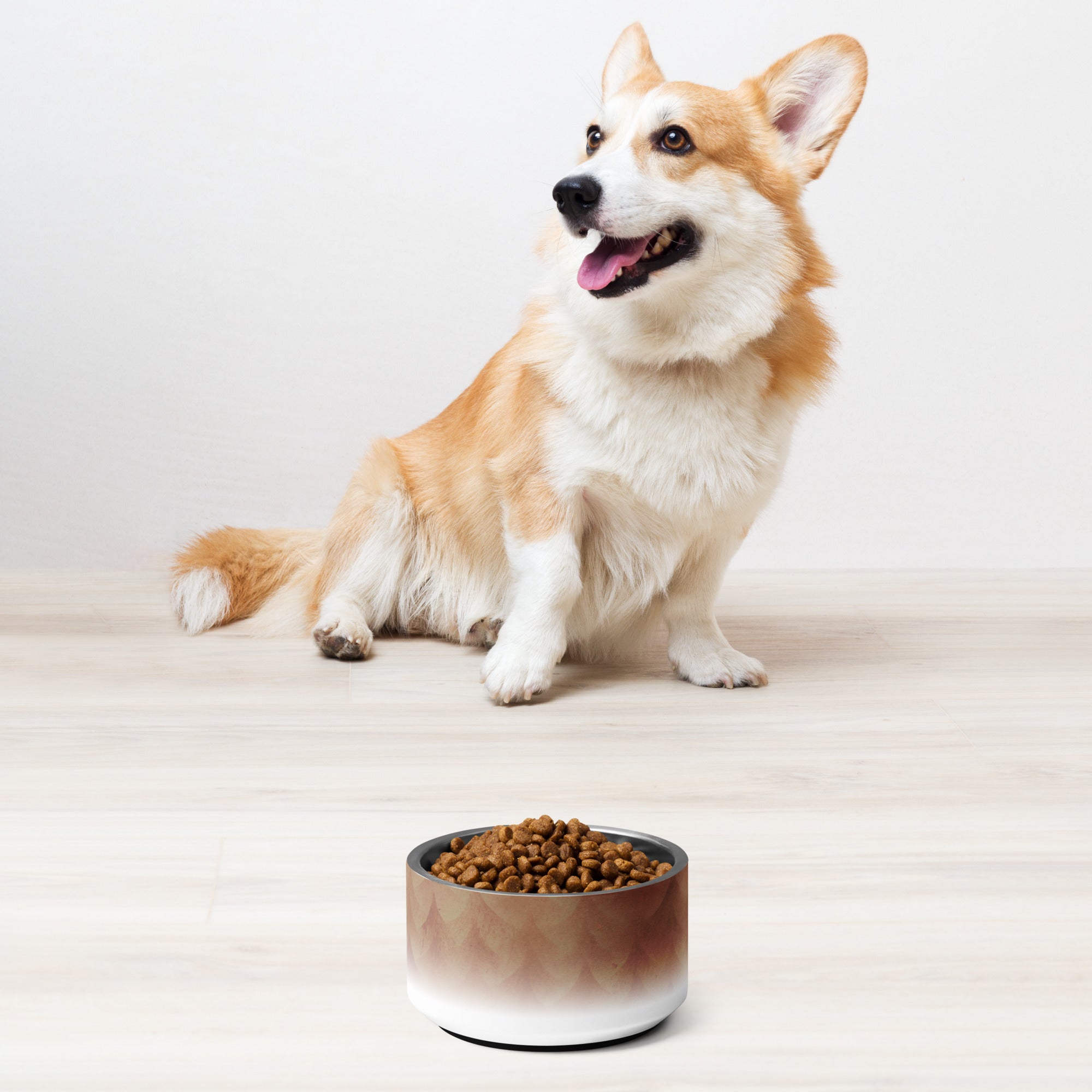 Sebastian & Clementine Vintage Collection Pet Bowl