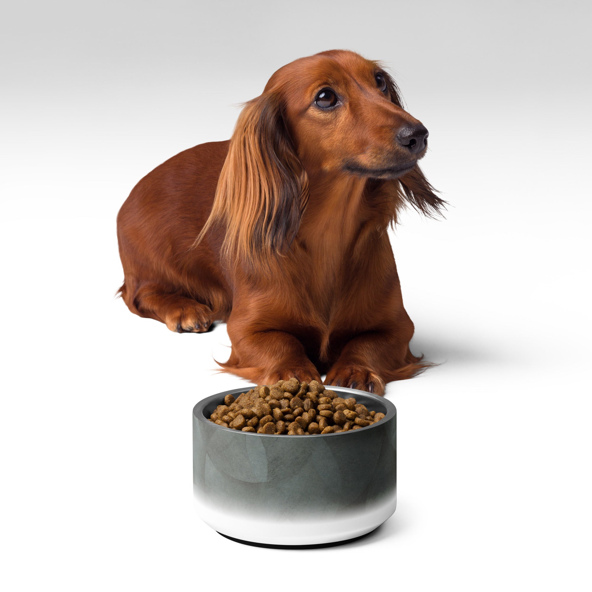 Sebastian & Clementine Vintage Collection Pet Bowl