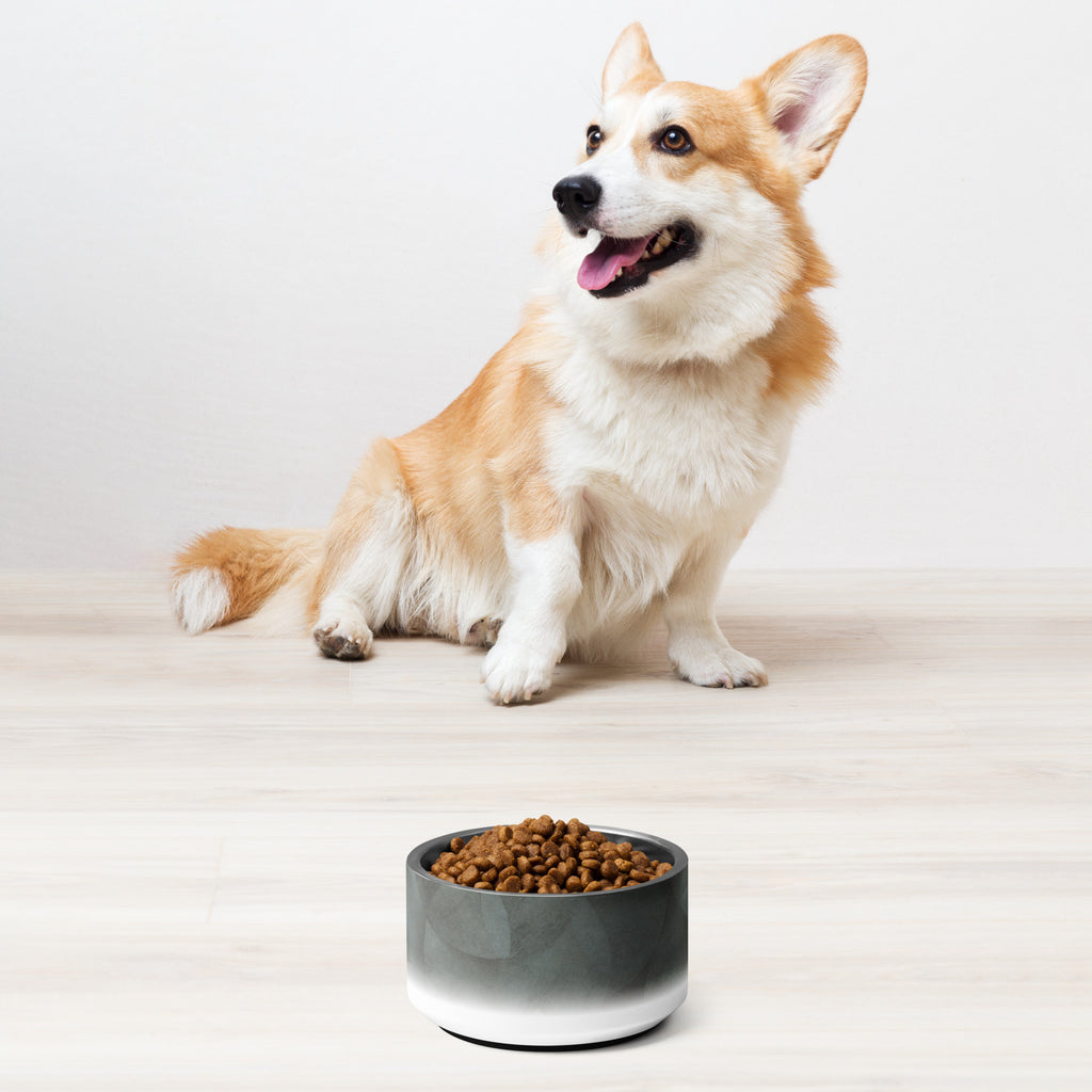 Sebastian & Clementine Vintage Collection Pet Bowl