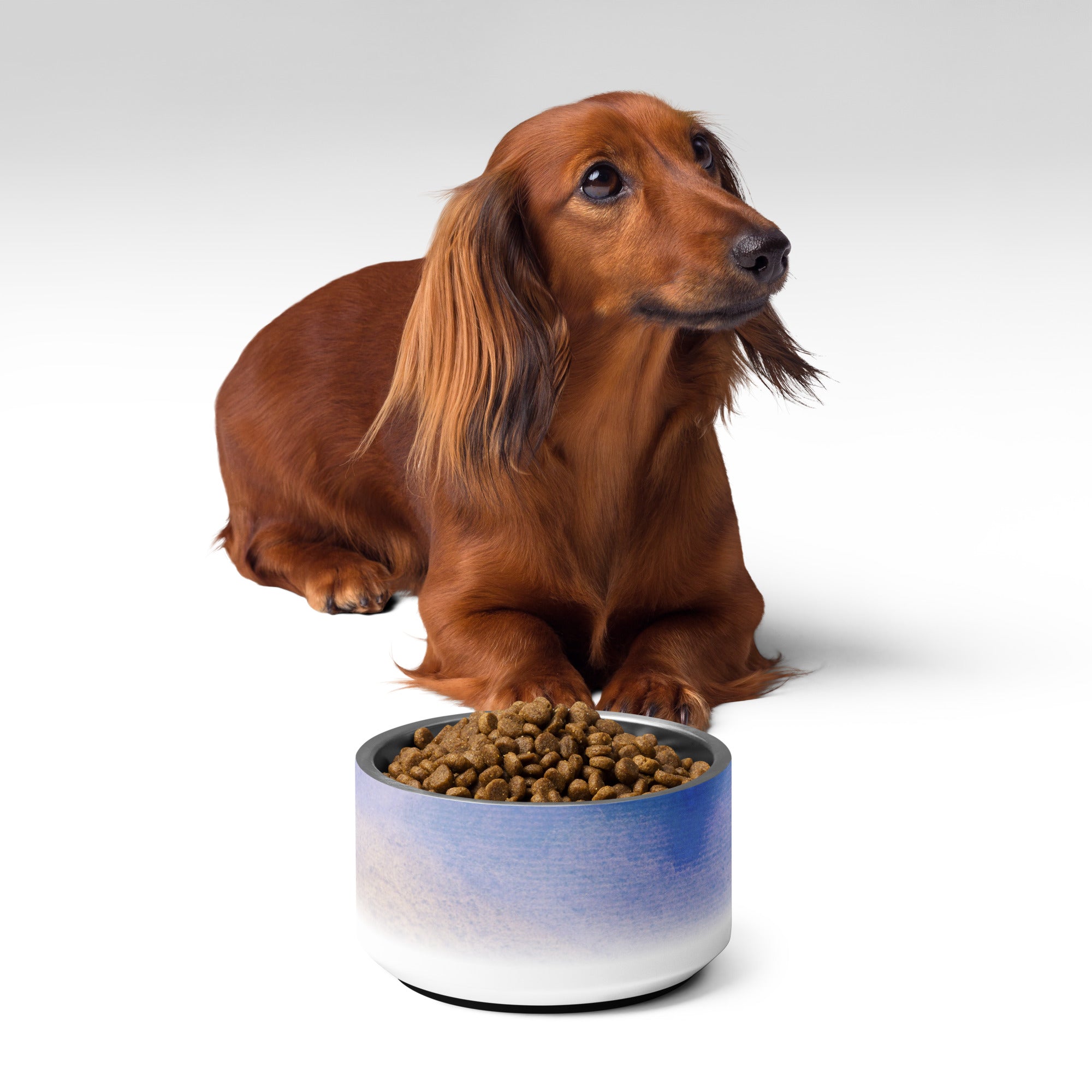 Sebastian & Clementine Vintage Collection Pet Bowl