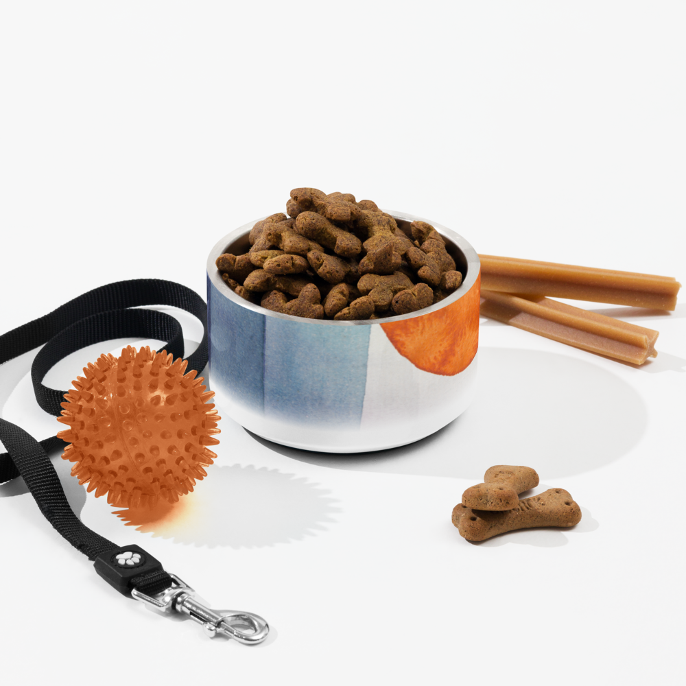 Sebastian & Clementine Vintage Collection Pet Bowl