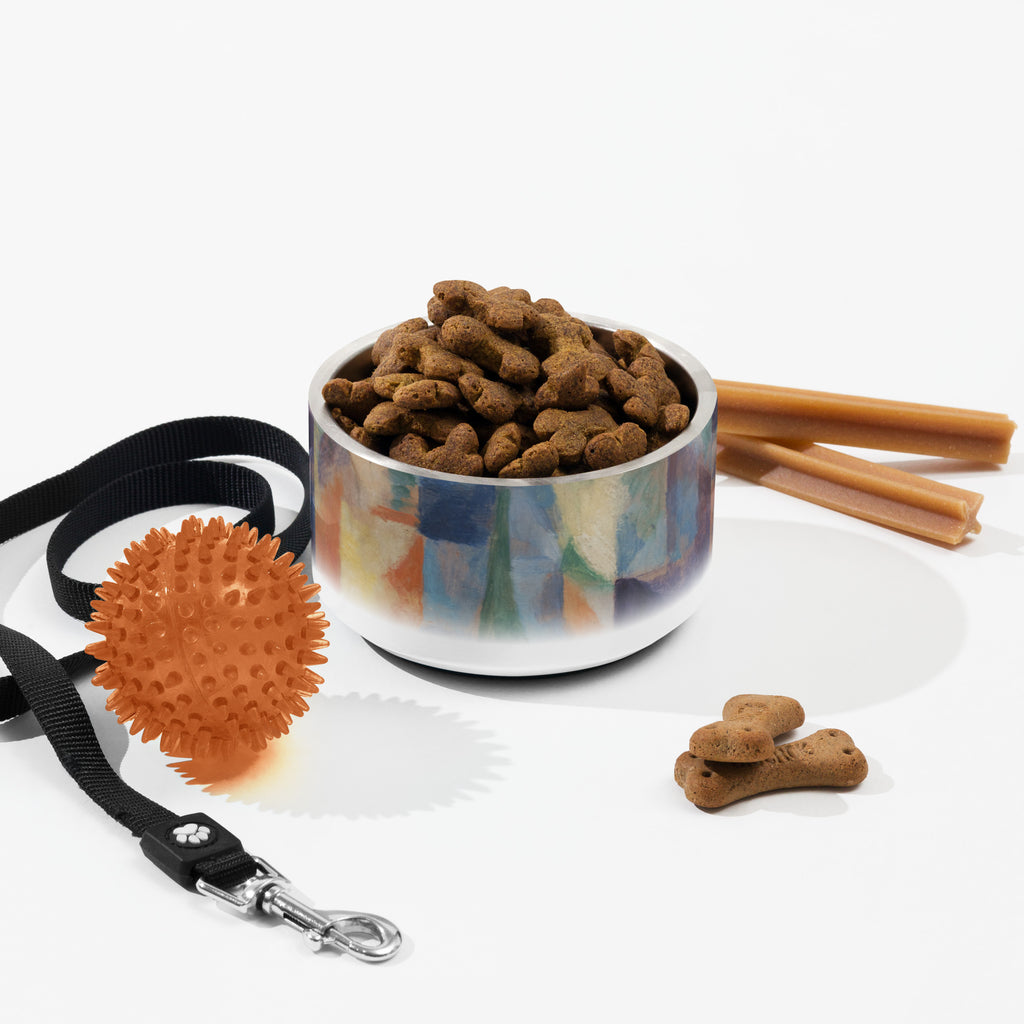 Sebastian & Clementine Window Overlooking The City Pet Bowl