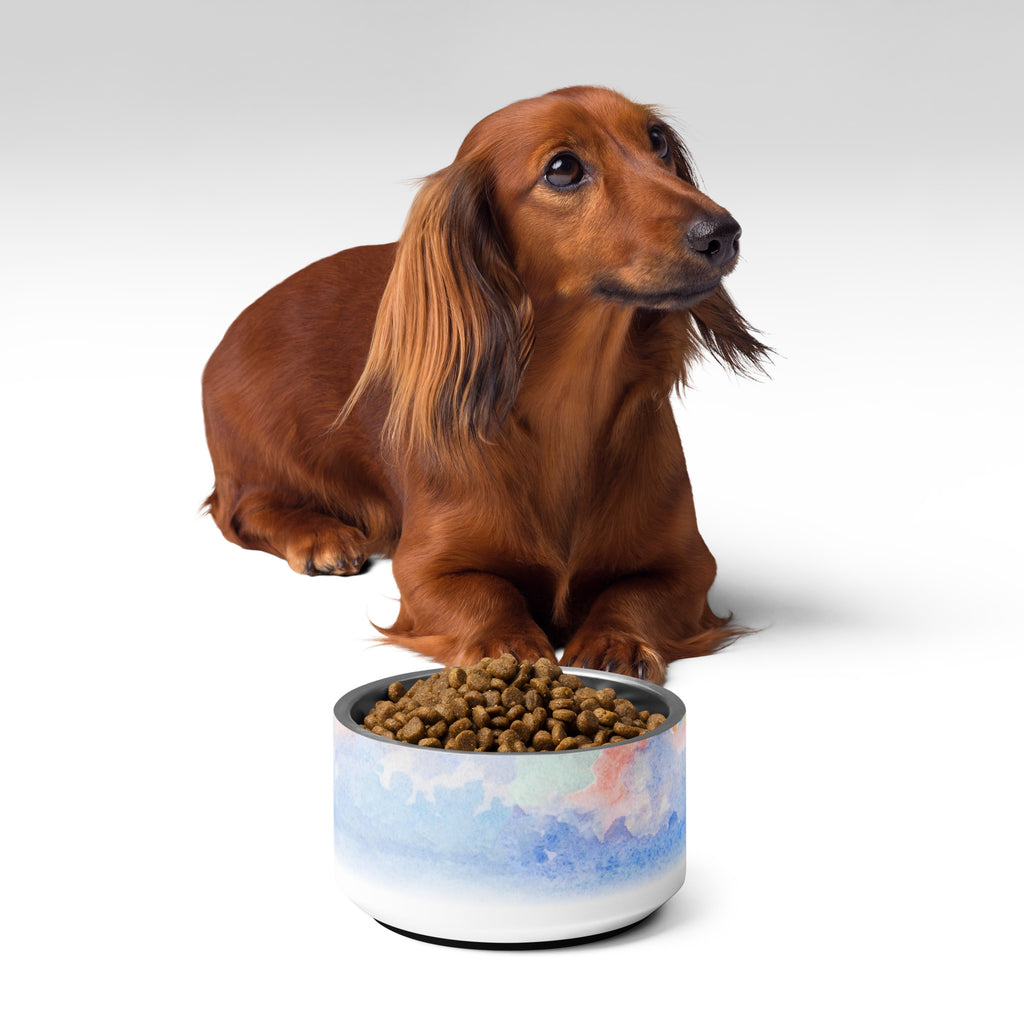 Sebastian & Clementine Venice Pet Bowl