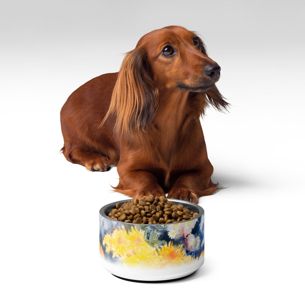 Sebastian & Clementine Yellow and Blue Pet Bowl