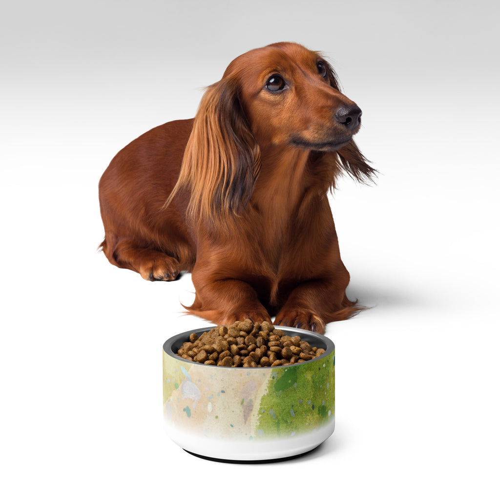 Sebastian & Clementine Road Through The Forest Pet Bowl