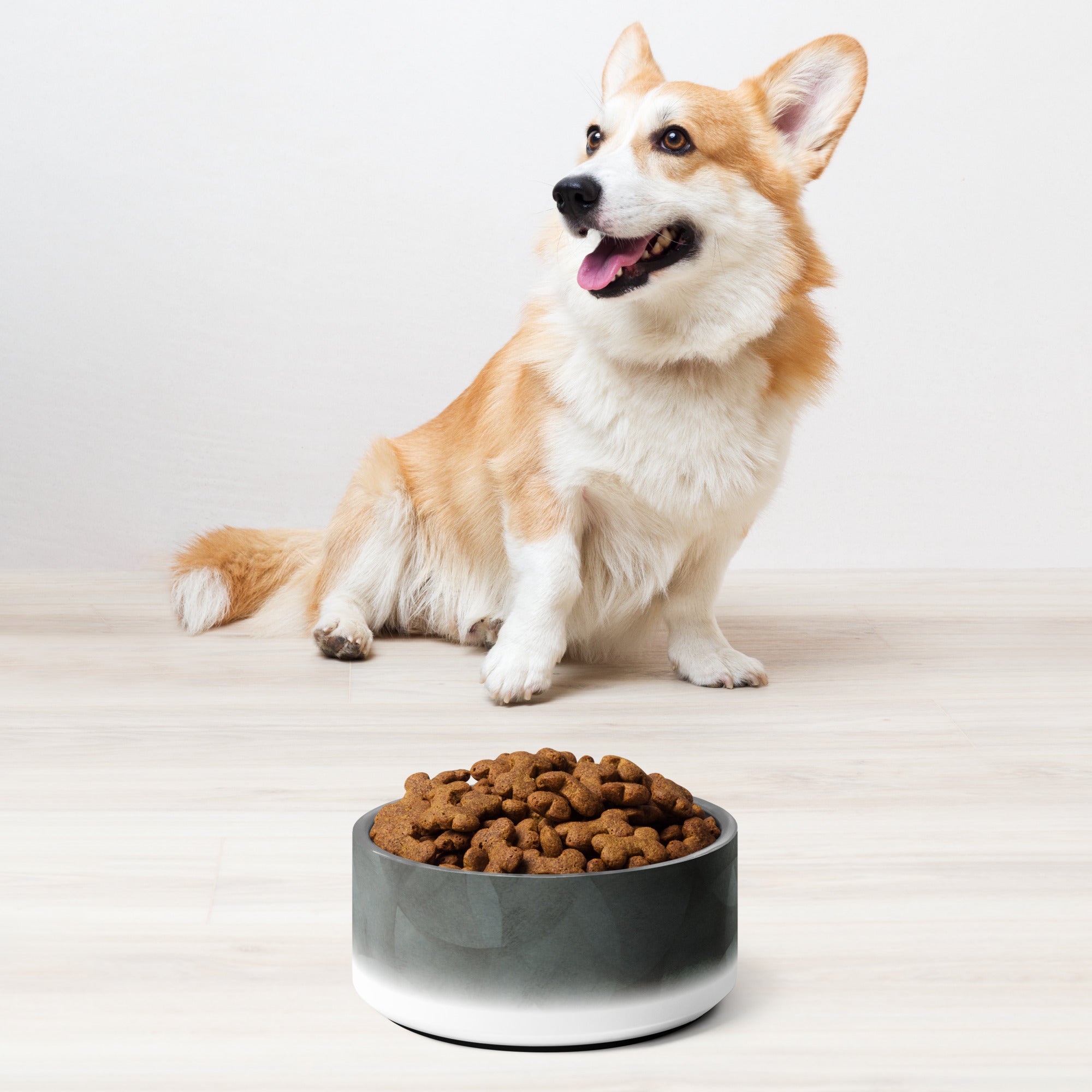 Sebastian & Clementine Vintage Collection Pet Bowl