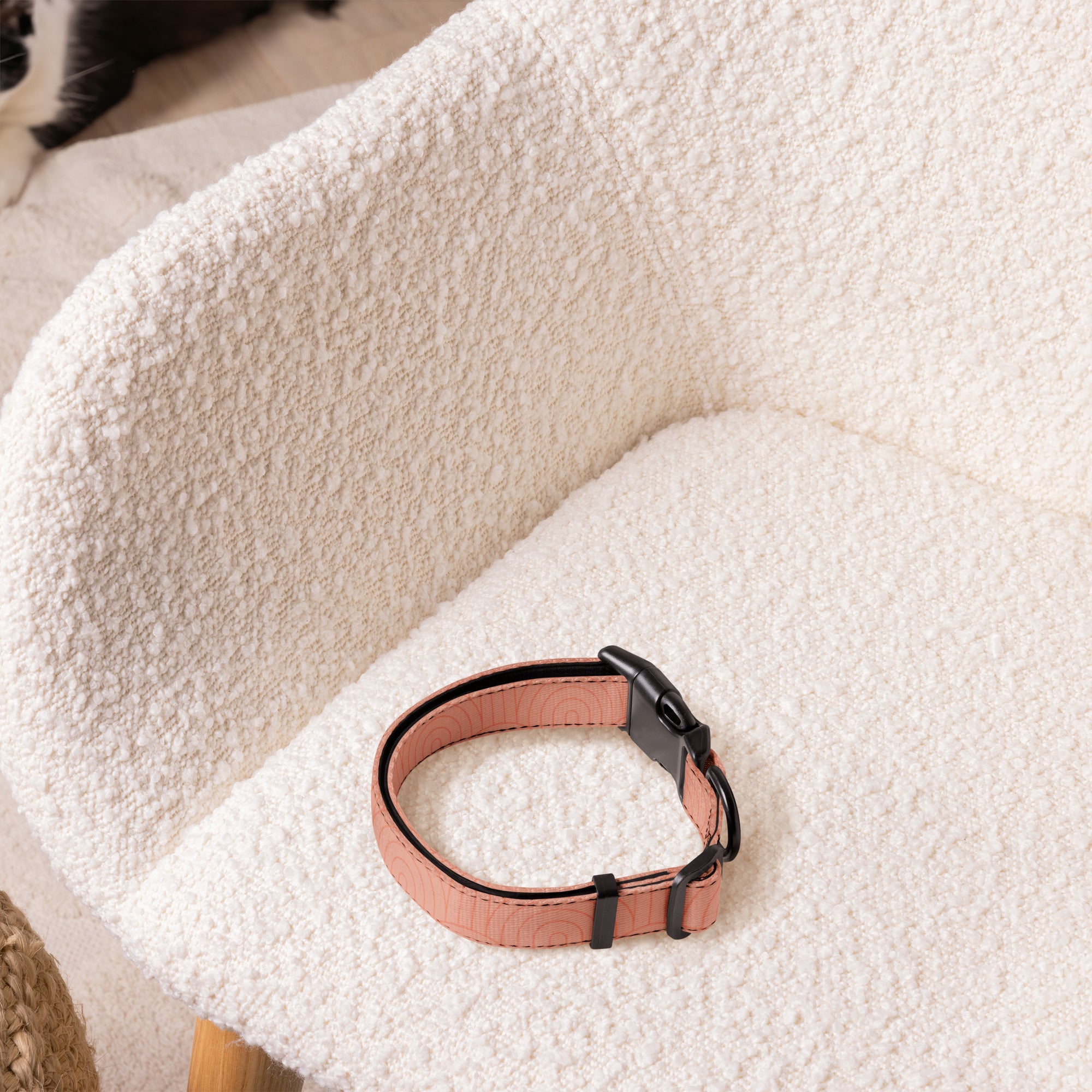 Sebastian & Clementine Scalloped Pink Premium Adjustable Pet Collar