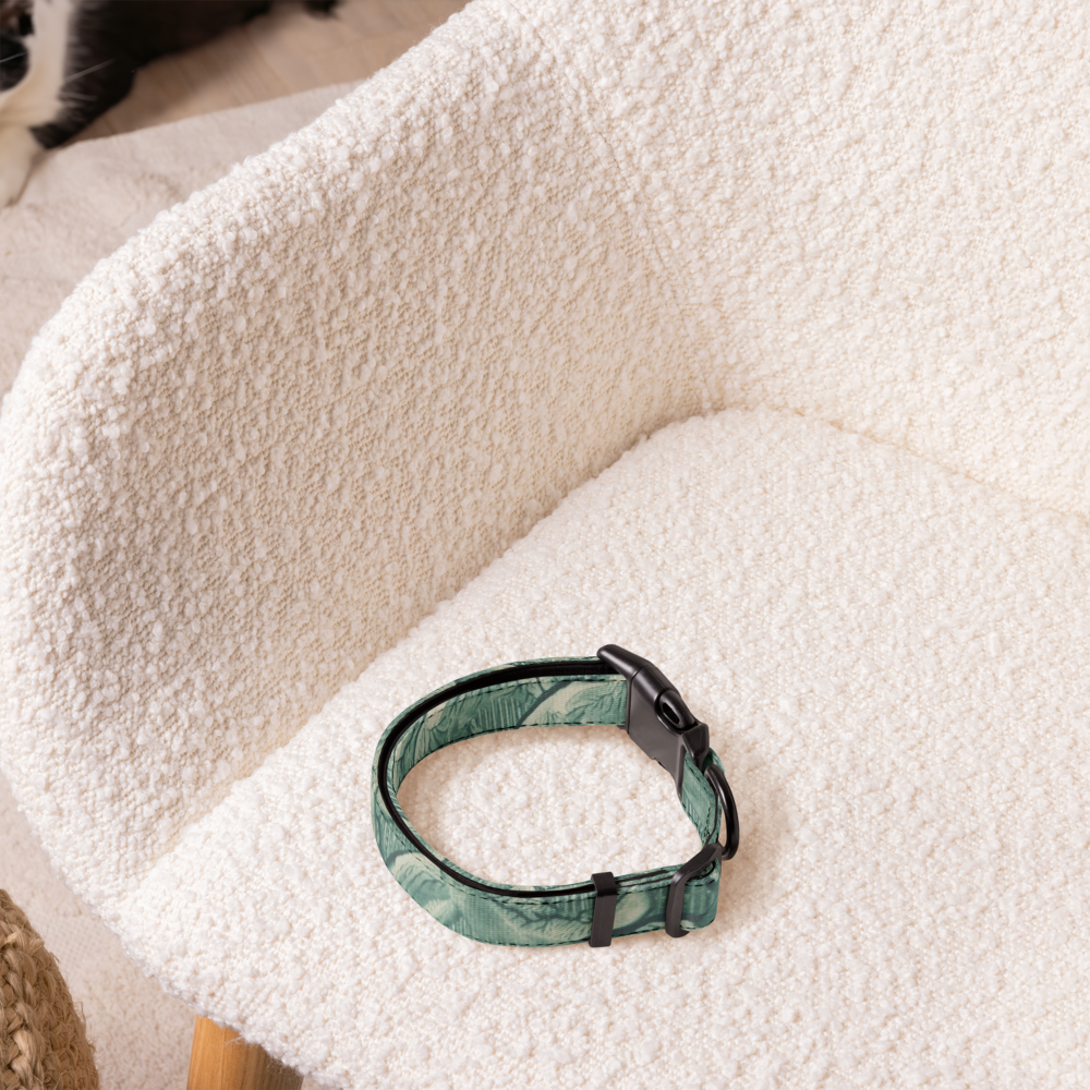 Sebastian & Clementine Vintage Collection Green Premium Adjustable Pet Collar