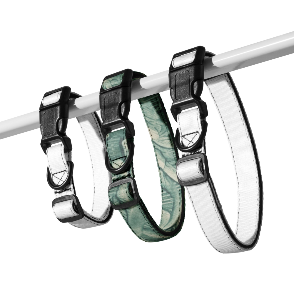 Sebastian & Clementine Vintage Collection Green Premium Adjustable Pet Collar