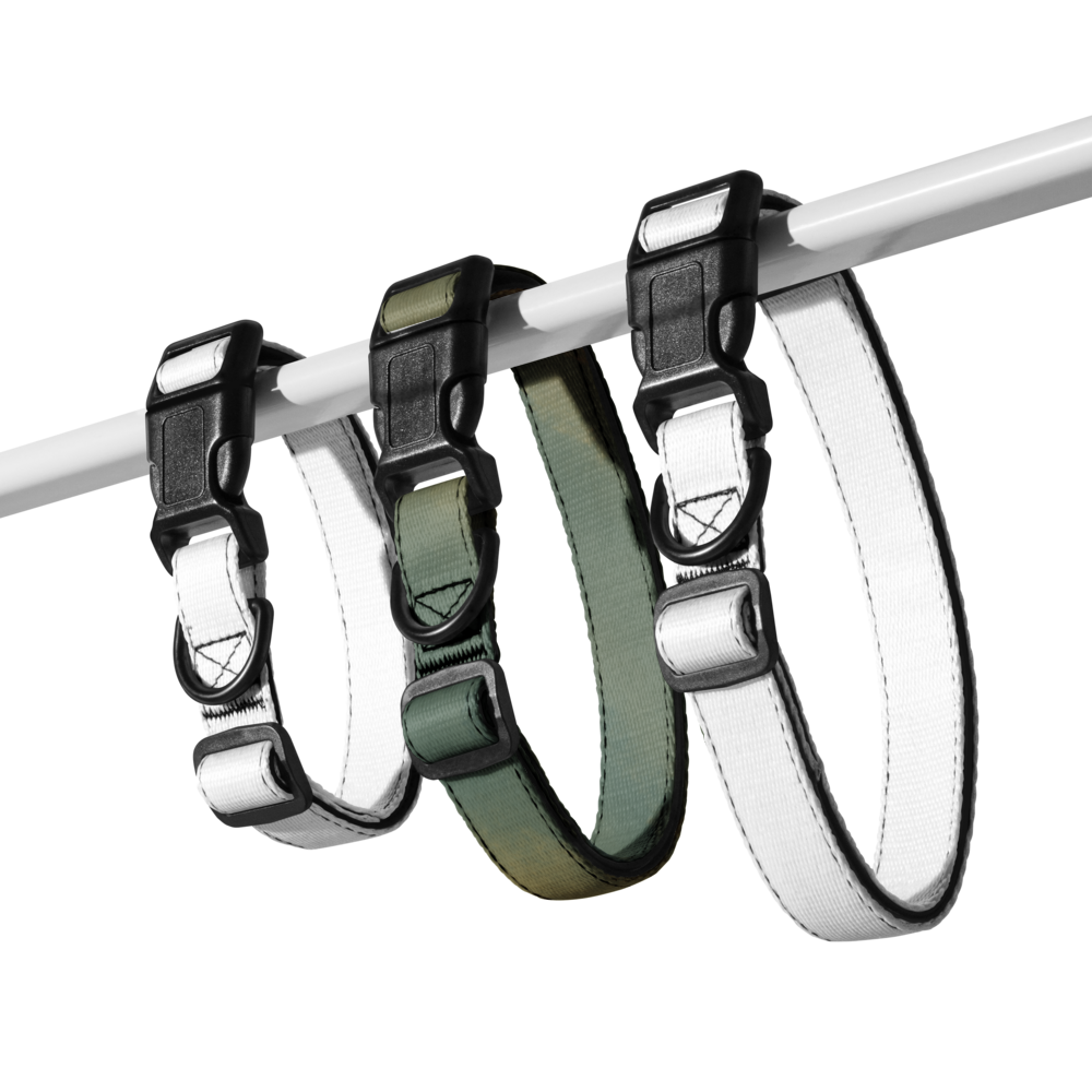Sebastian & Clementine Brushed Green Premium Adjustable Pet Collar