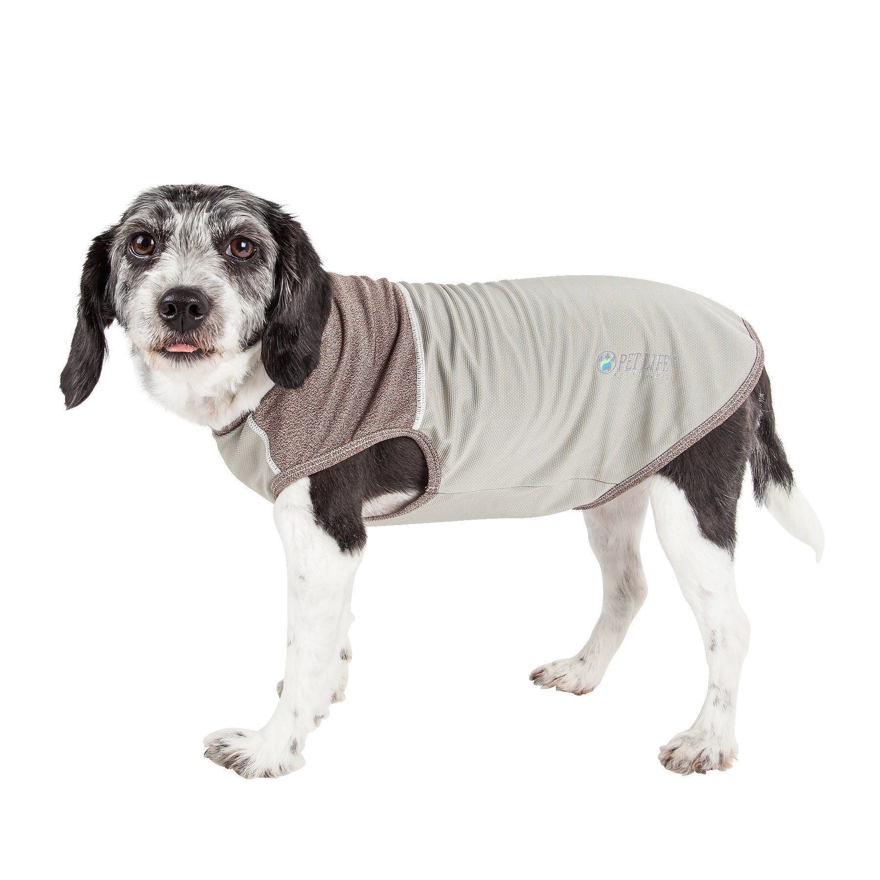 Pet Life® Active 'Aero-Pawlse' Quick-Dry and 4-Way-Stretch Yoga Fitness Dog T-Shirt