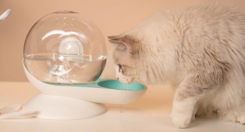 Pet Life® 'Auto-Myst' Snail Shaped 2-in-1 Automated Gravity Pet Filtered Water Dispenser and Food Bowl