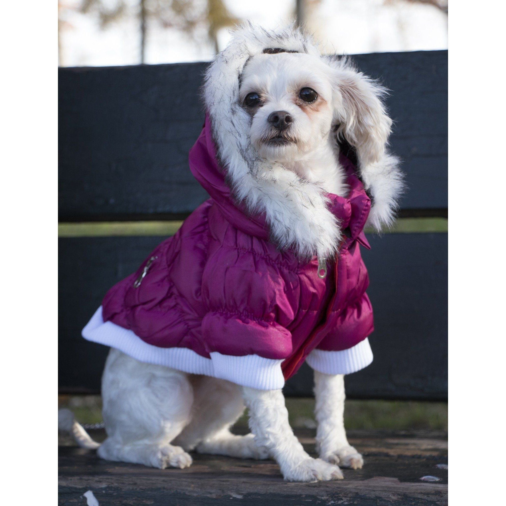 Pet Life® Classic Metallic Fashion 3M Insulated Dog Coat Parka w/ Removable Hood