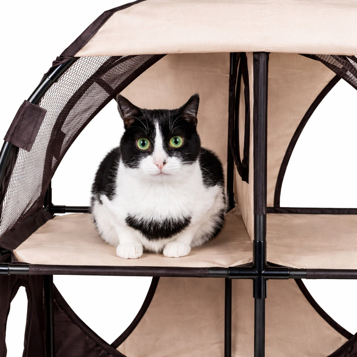 Pet Life® 'Kitty-Play' Collapsible Travel Interactive Kitty Cat Tree Maze House Lounger Tunnel Lounge