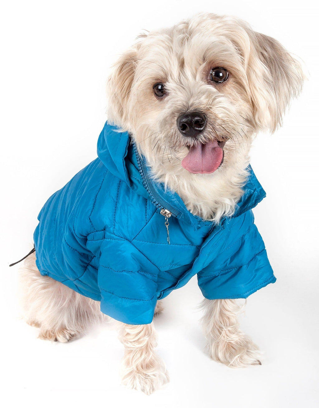 Pet Life® Lightweight Adjustable and Collapsible 'Sporty Avalanche' Dog Coat w/ Pop-out Zippered Hood