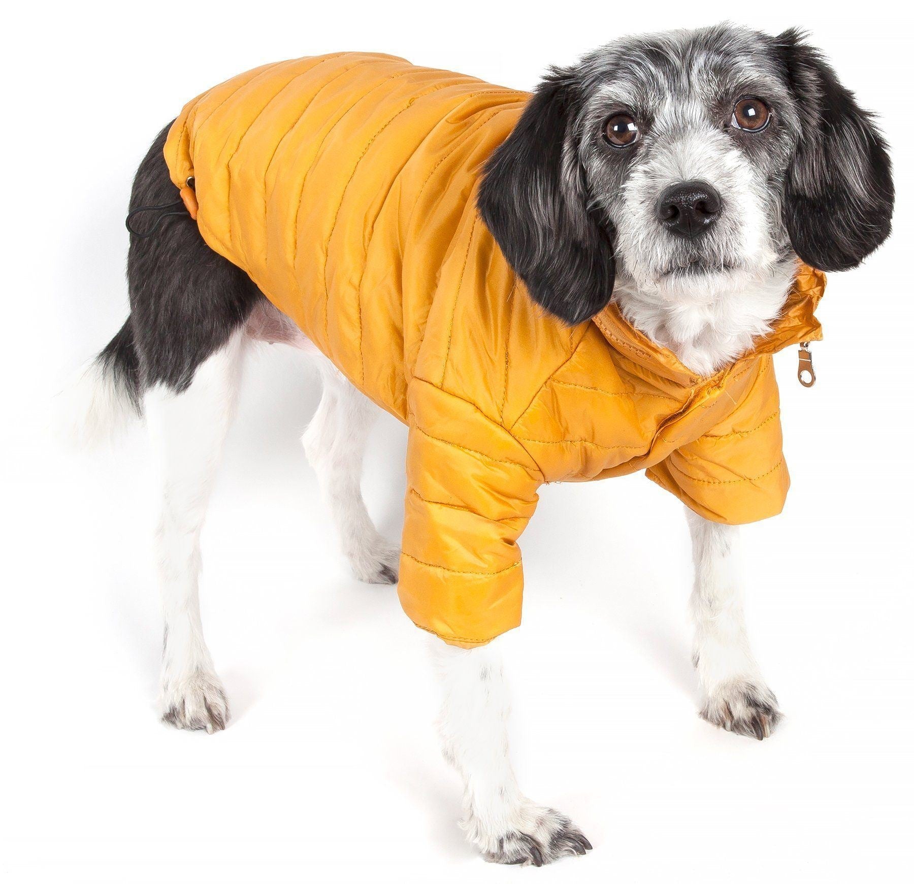 Pet Life® Lightweight Adjustable and Collapsible 'Sporty Avalanche' Dog Coat w/ Pop-out Zippered Hood