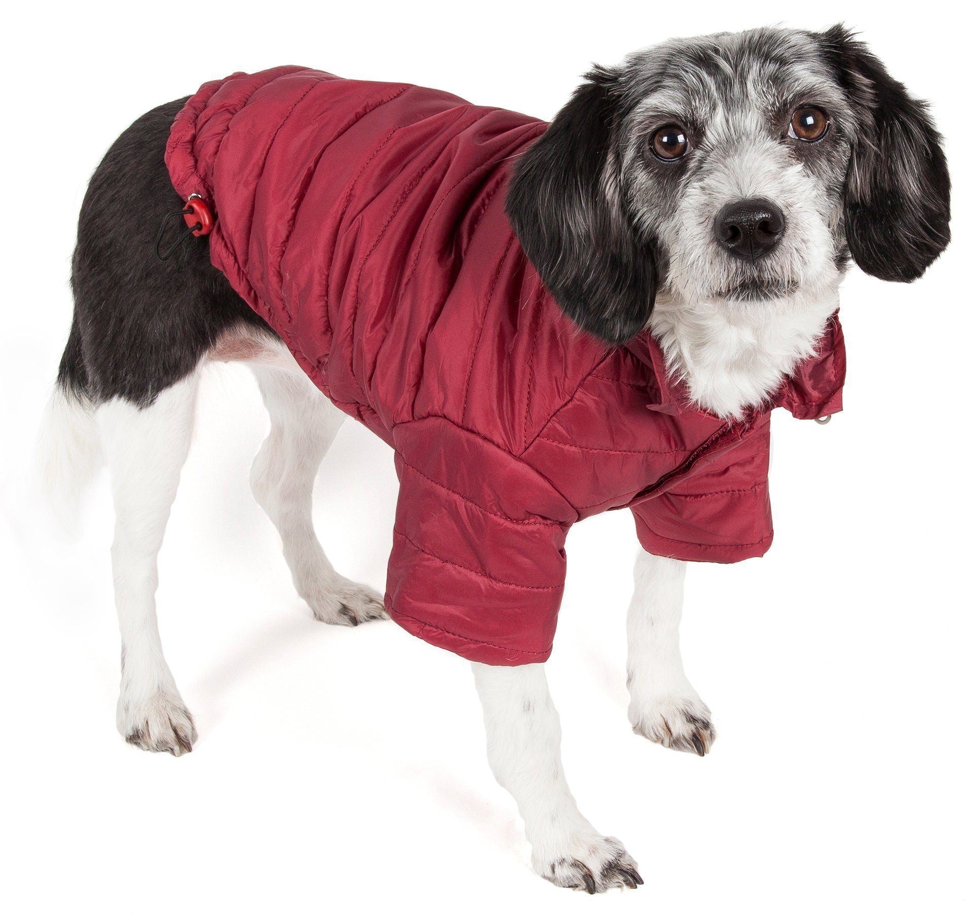 Pet Life® Lightweight Adjustable and Collapsible 'Sporty Avalanche' Dog Coat w/ Pop-out Zippered Hood