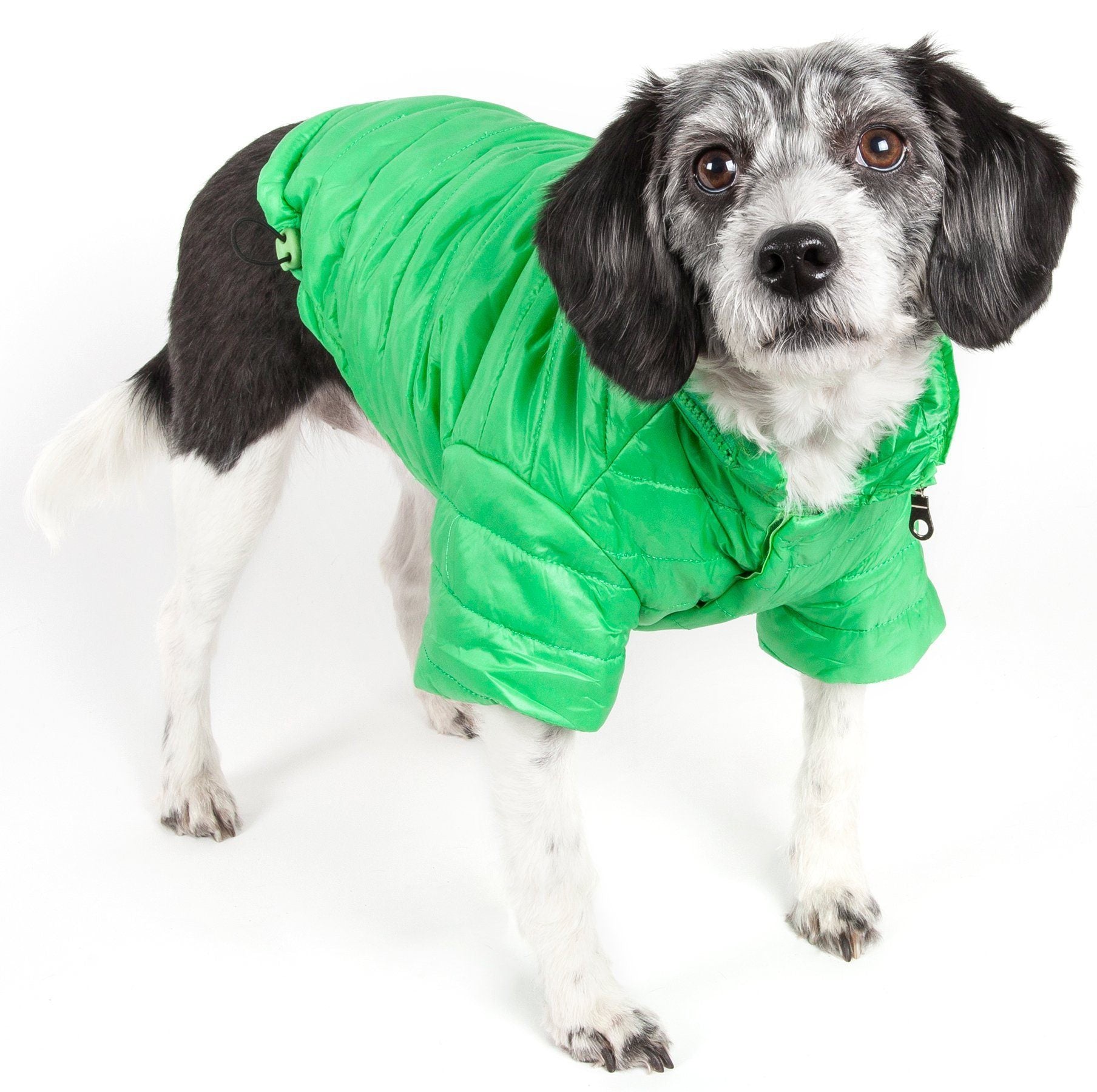 Pet Life® Lightweight Adjustable and Collapsible 'Sporty Avalanche' Dog Coat w/ Pop-out Zippered Hood