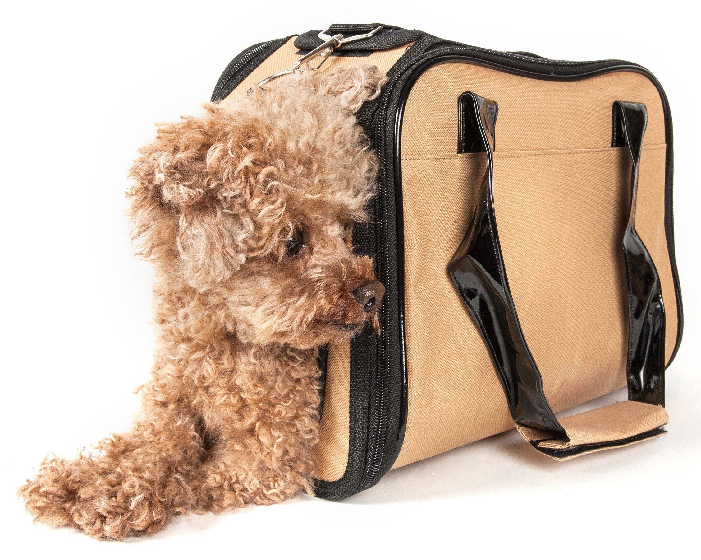Pet Life® Mystique Airline Approved Fashion Designer Travel Pet Dog Carrier w/ Pouch
