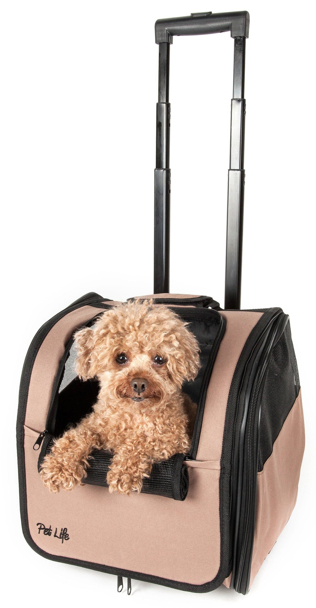 Pet Life® 'Pawdon Me '  Wheeled Airline Approved Travel Collapsible Pet Dog Carrier