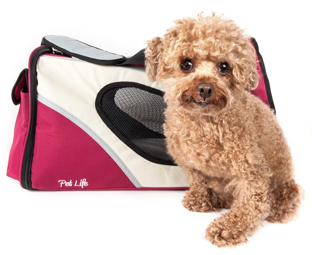 Pet Life® 'Phenom-Air' Airline Approved Collapsible Fashion Designer Pet Dog Carrier