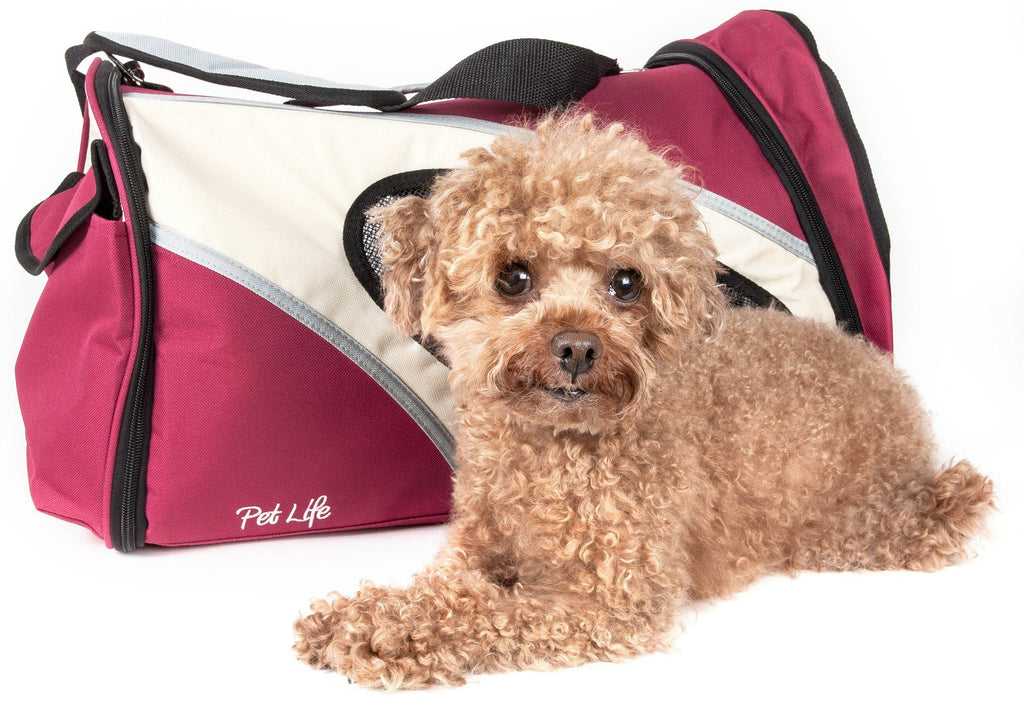Pet Life® 'Phenom-Air' Airline Approved Collapsible Fashion Designer Pet Dog Carrier