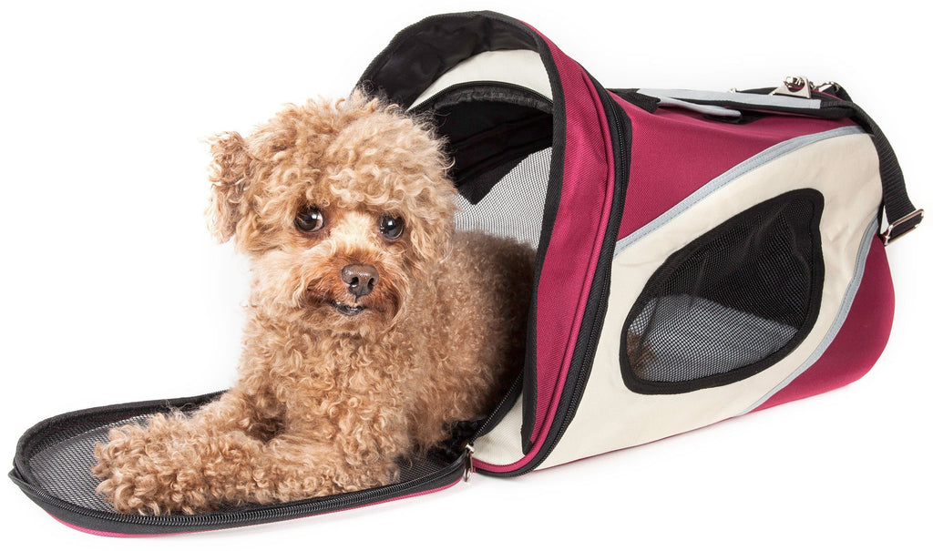 Pet Life® 'Phenom-Air' Airline Approved Collapsible Fashion Designer Pet Dog Carrier