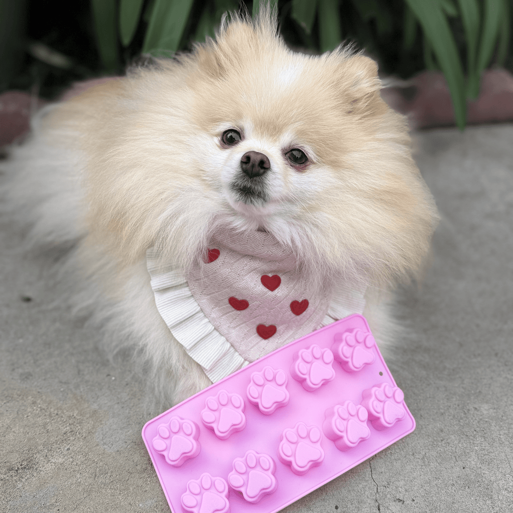 Farm To Pet Pet Treat Molds