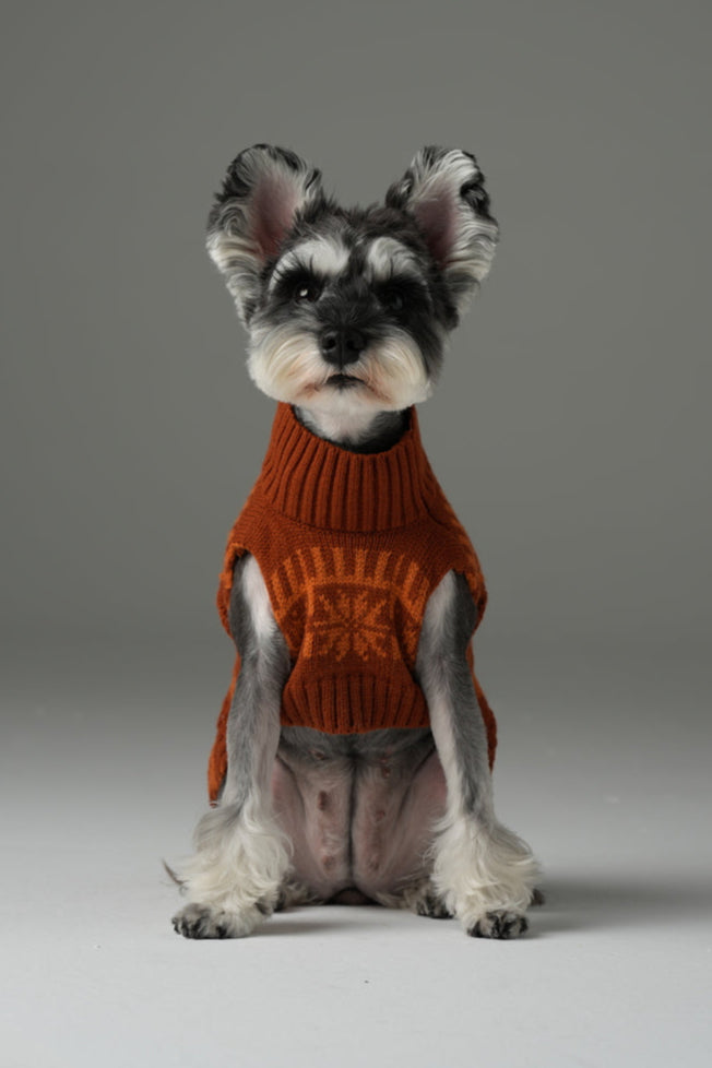 Pehom | Pretzel Pet Sweater - Tofee Orange