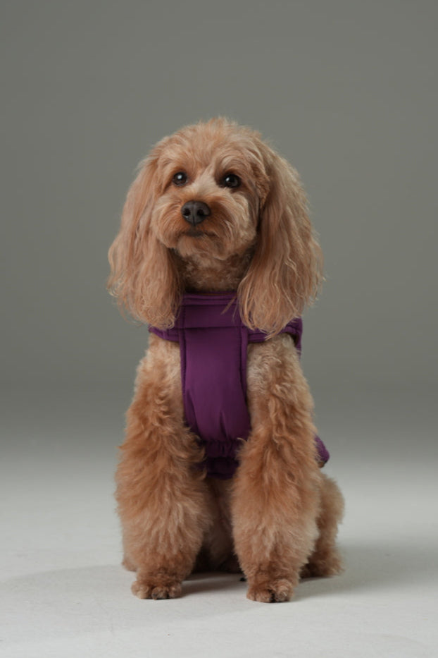 Pehom | Reversible Dog Vest Jacket - Purple Caramel