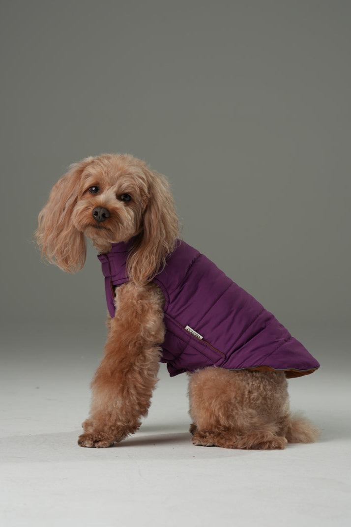 Pehom | Reversible Dog Vest Jacket - Purple Caramel