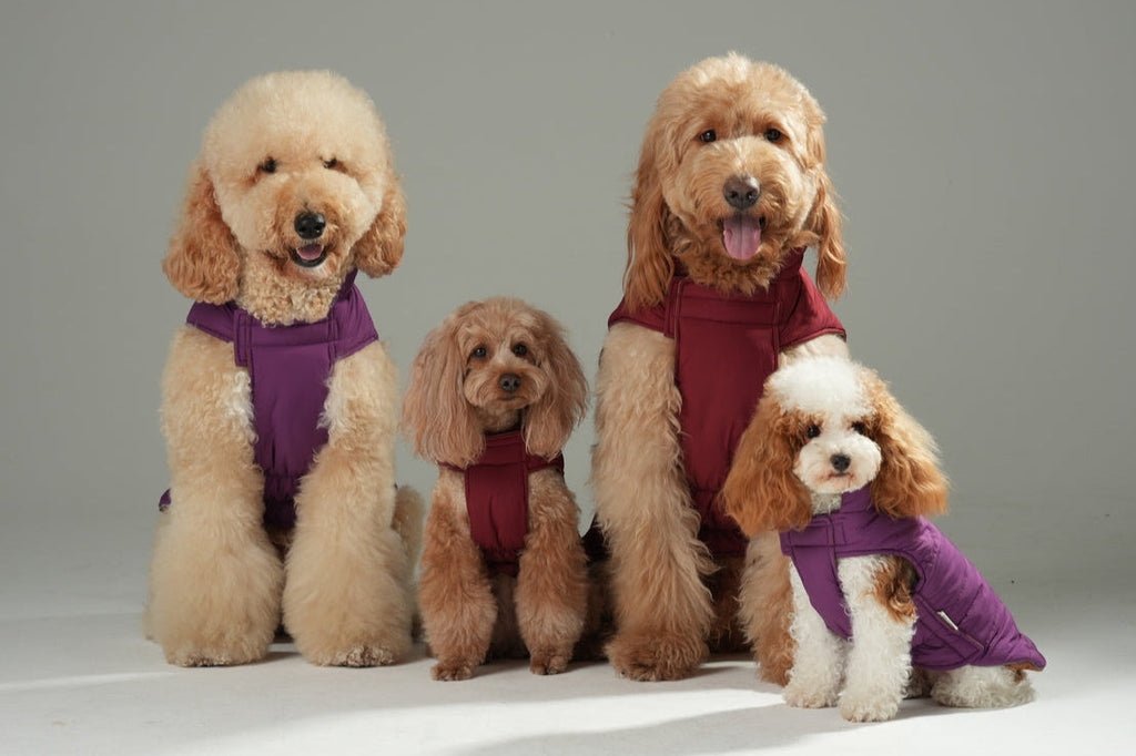 Pehom | Reversible Dog Vest Jacket - Purple Caramel