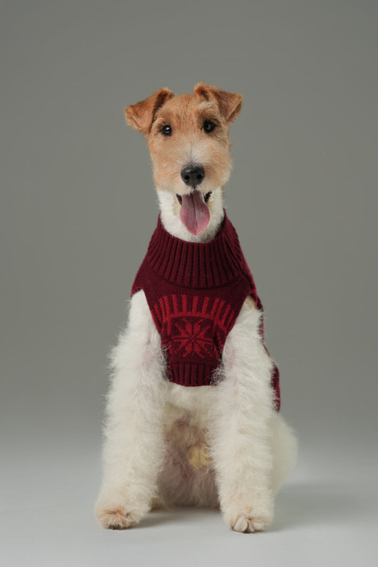 Pehom | Pretzel Pet Sweater - Burgundy Red