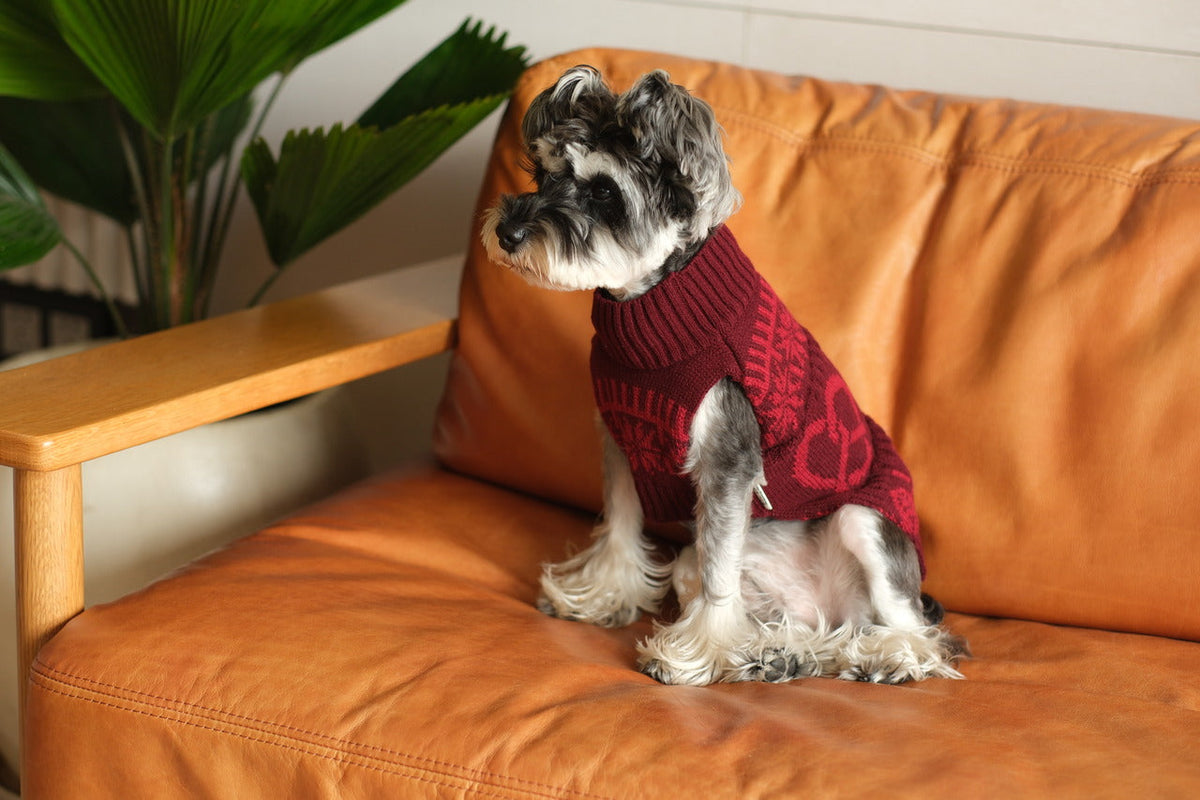 Pehom | Pretzel Pet Sweater - Burgundy Red
