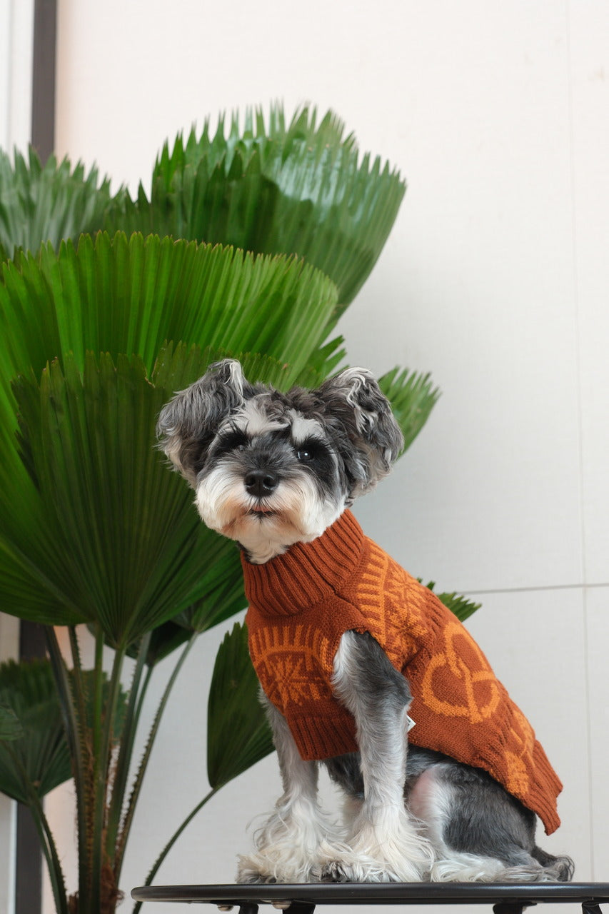 Pehom | Pretzel Pet Sweater - Tofee Orange
