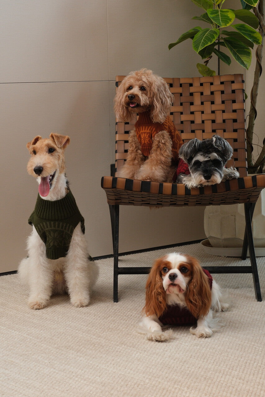 Pehom | Pretzel Pet Sweater - Tofee Orange