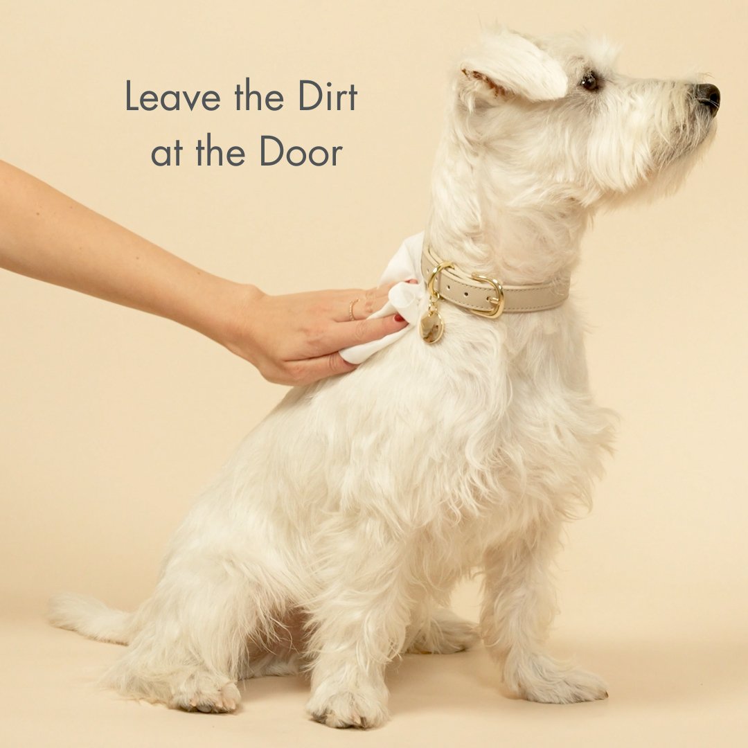 Premium Pet Wipes - Biodegradable and Plant-Based