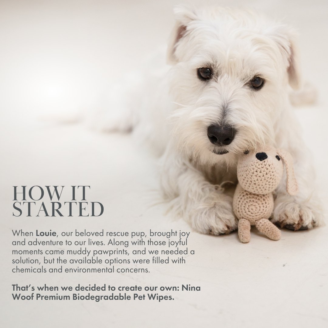 Premium Pet Wipes - Biodegradable and Plant-Based