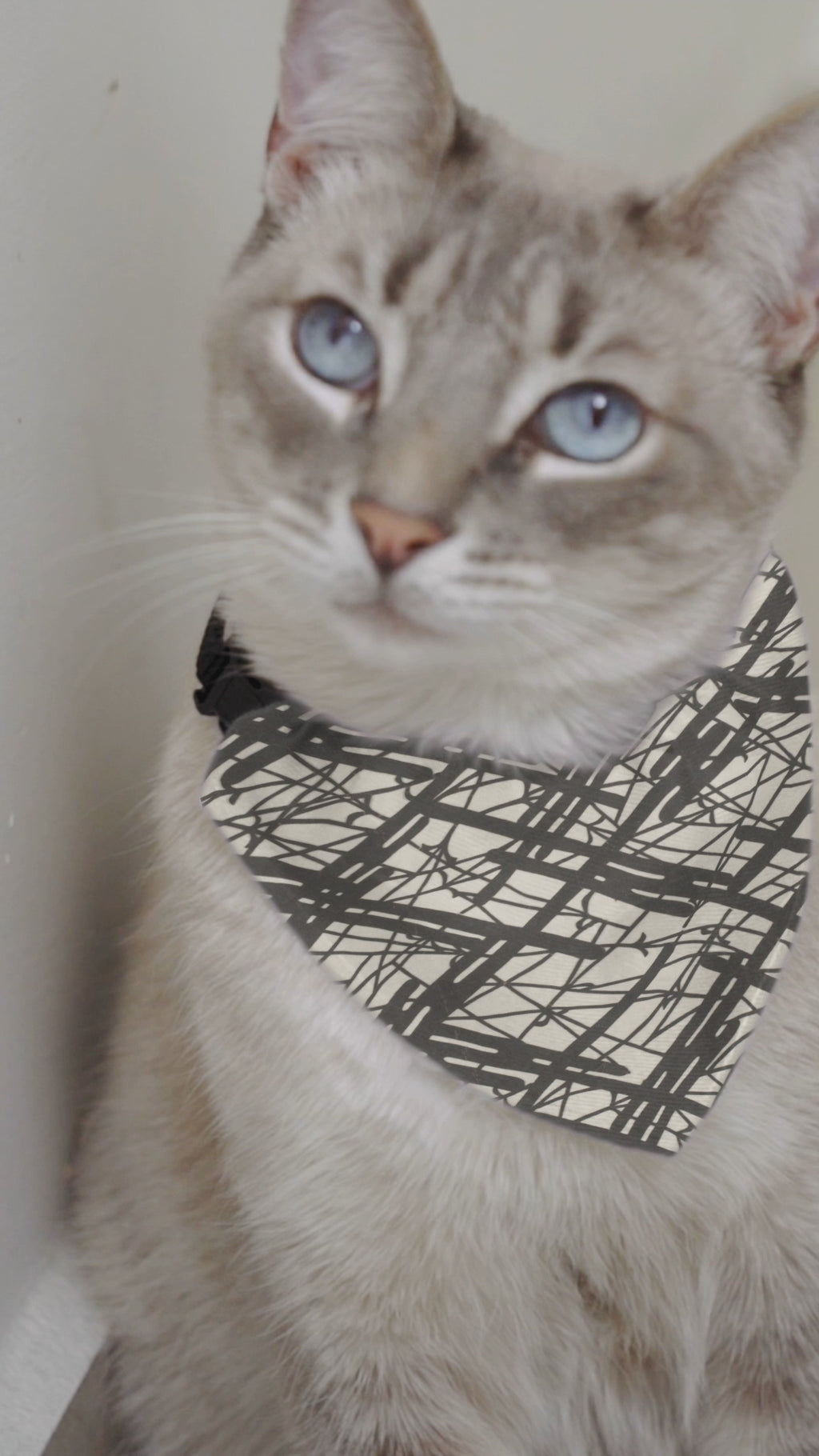 Sebastian & Clementine Vintage Collection Abstract Lines Bandana Collar for Dogs and Cats