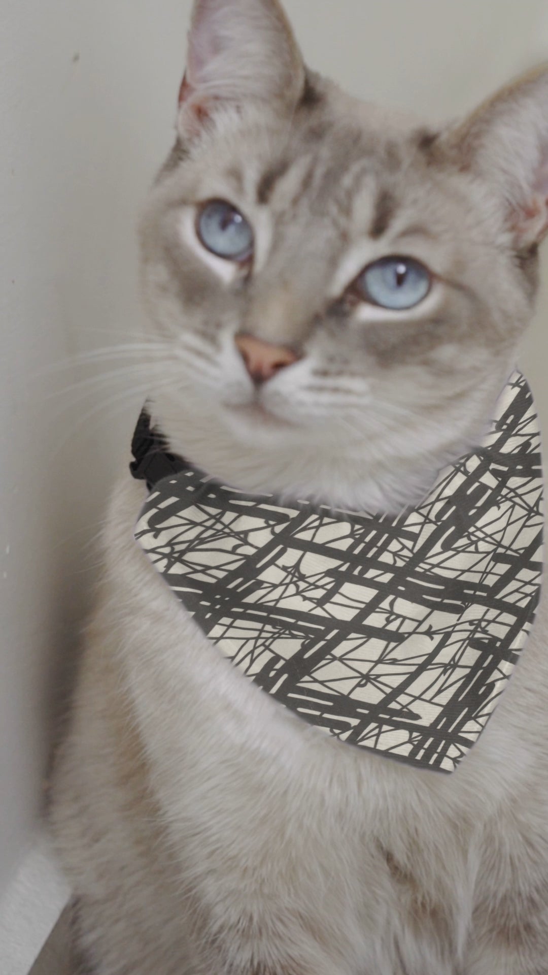 Sebastian & Clementine Vintage Collection Abstract Lines Bandana Collar for Dogs and Cats