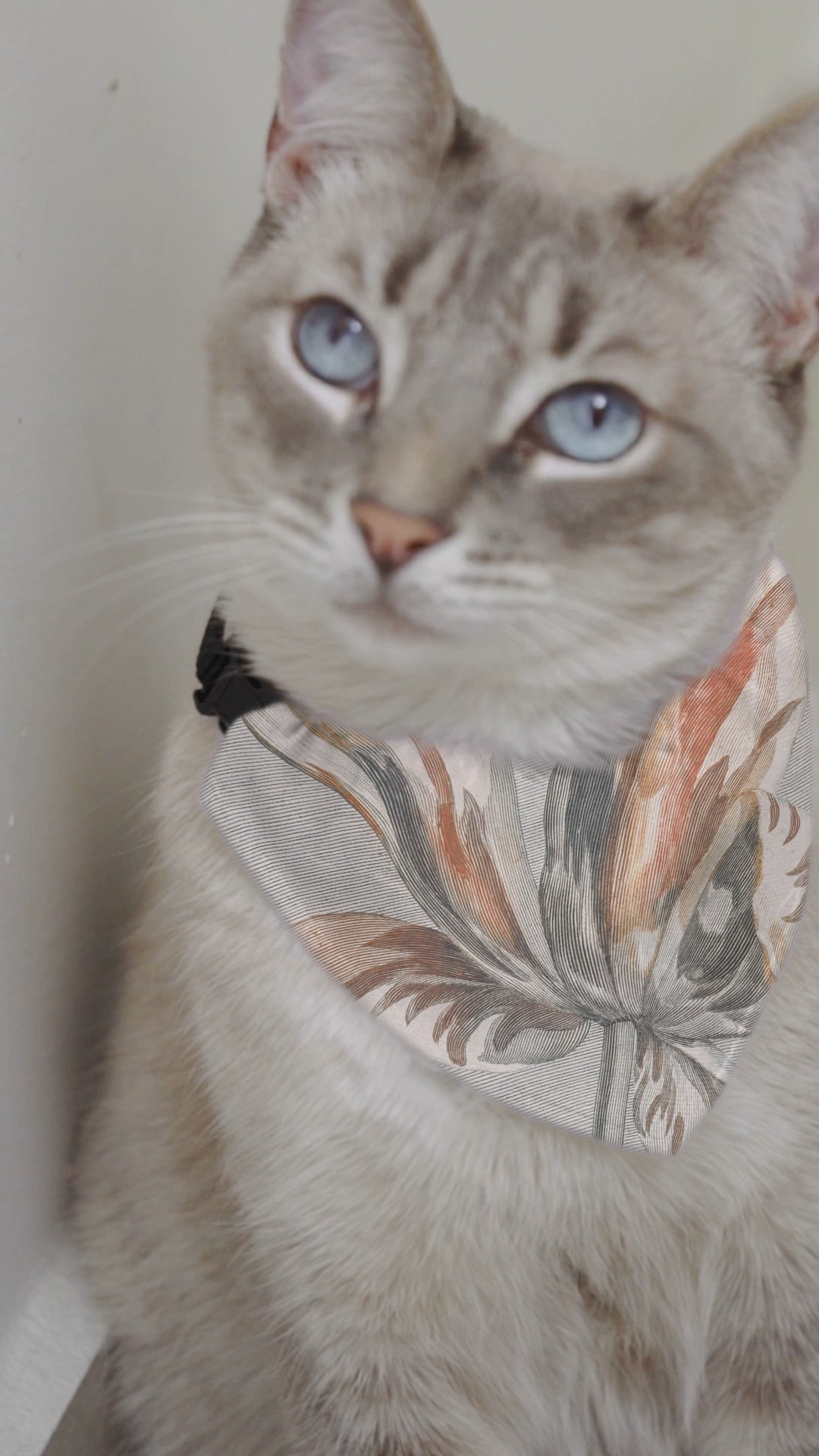 Sebastian & Clementine Vintage Collection Bandana Collar for Dogs and Cats