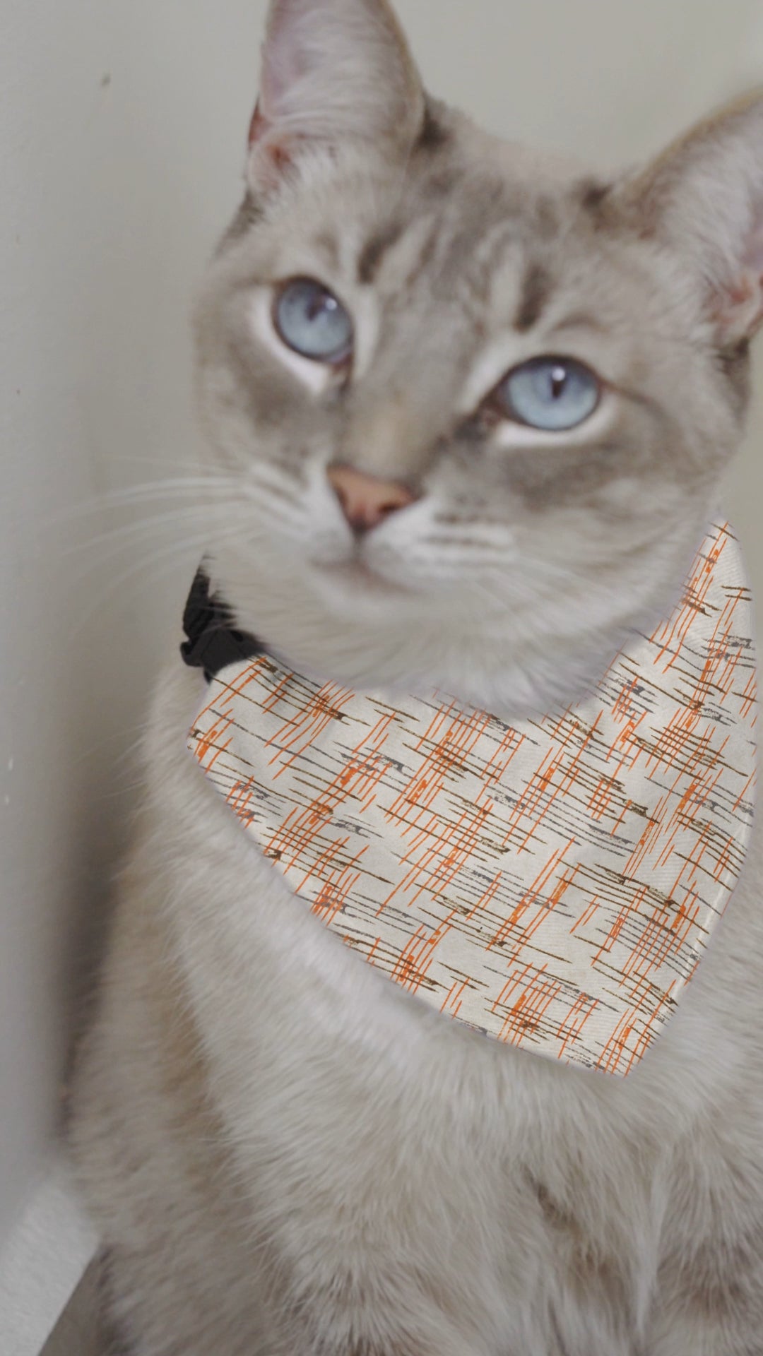 Sebastian & Clementine Vintage Collection Lines Bandana Collar for Dogs and Cats
