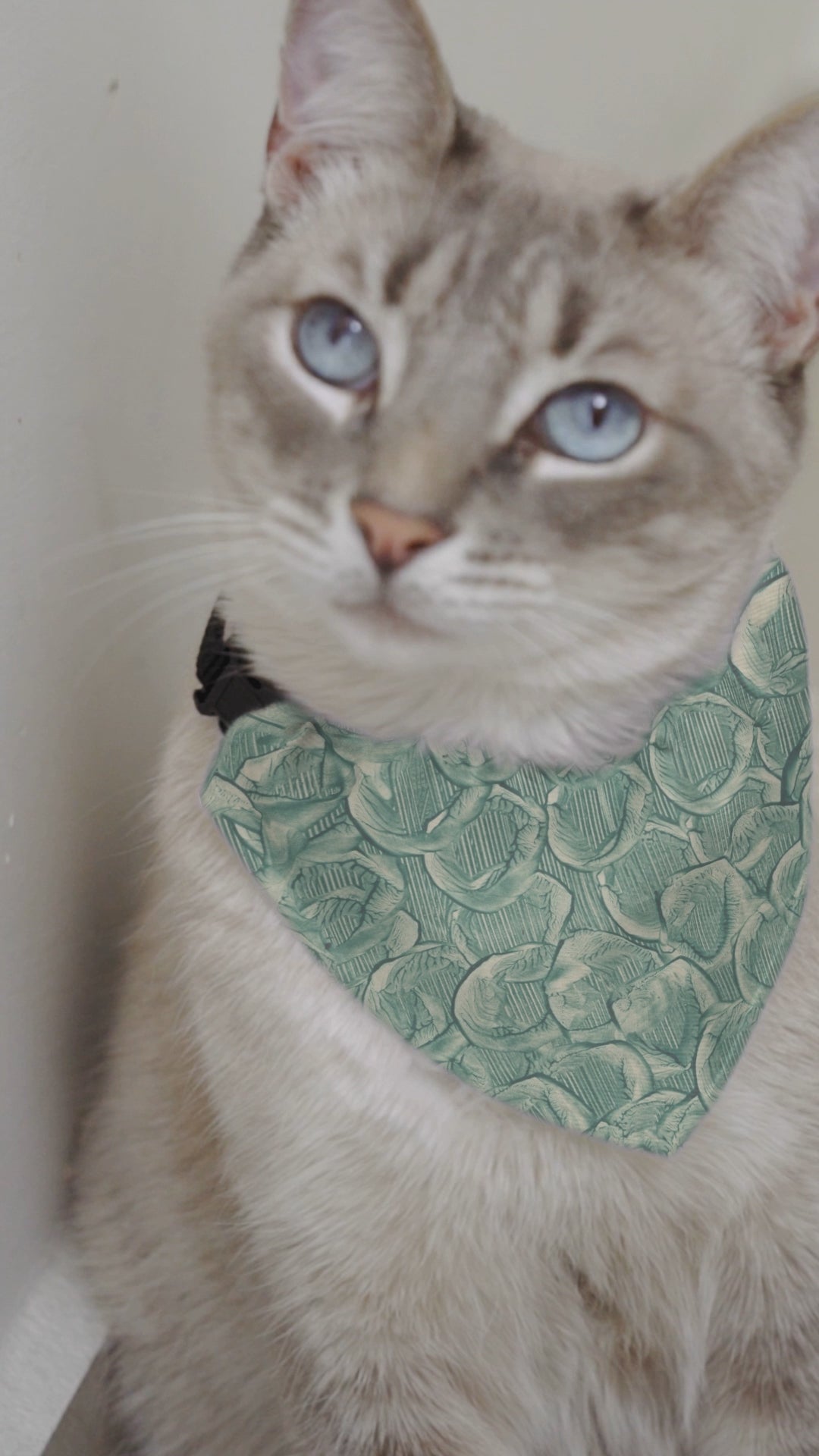 Sebastian & Clementine Vintage Collection Bandana Collar for Dogs and Cats
