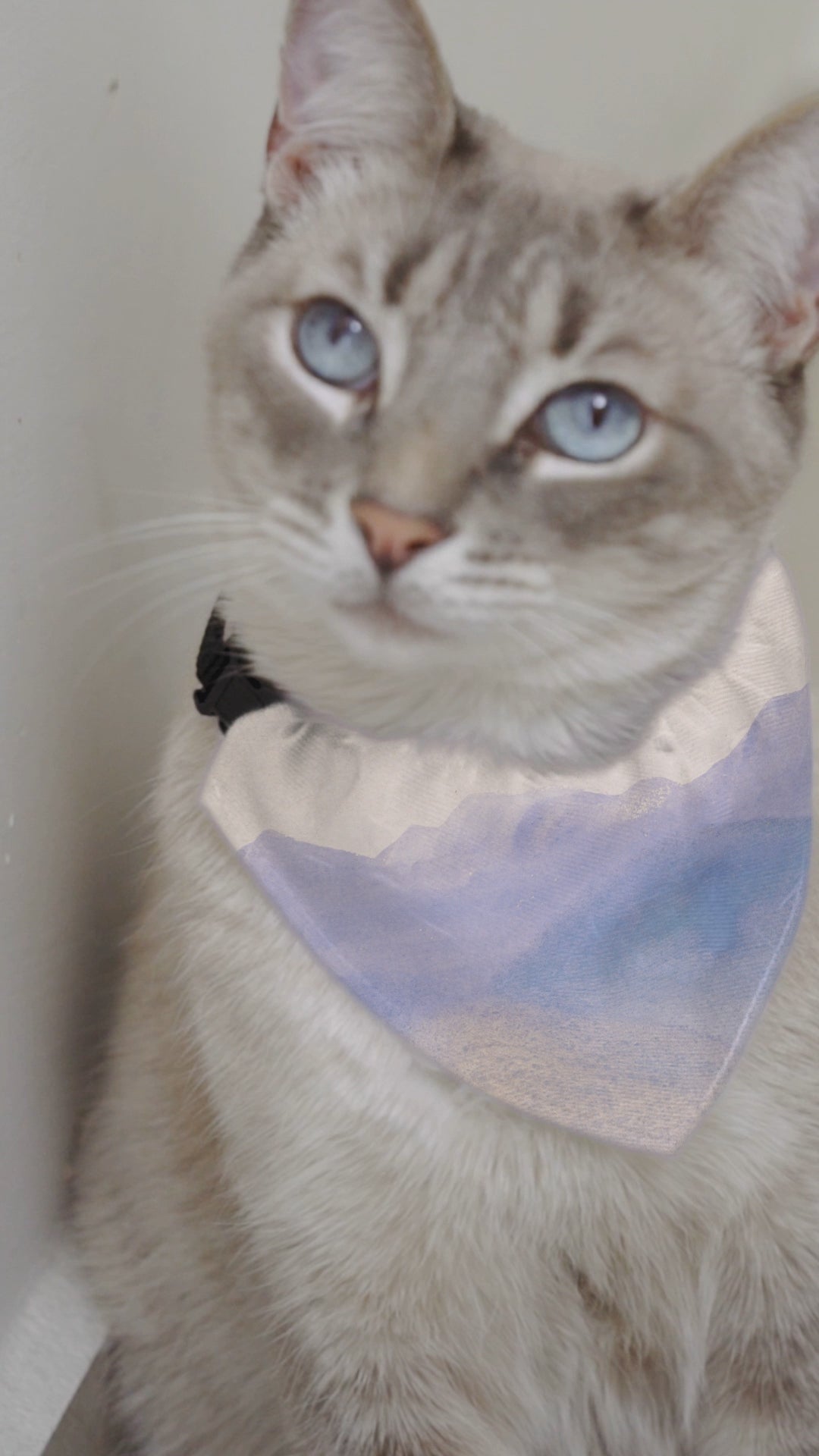 Sebastian & Clementine Vintage Collection Purple Mountains Bandana Collar for Dogs and Cats