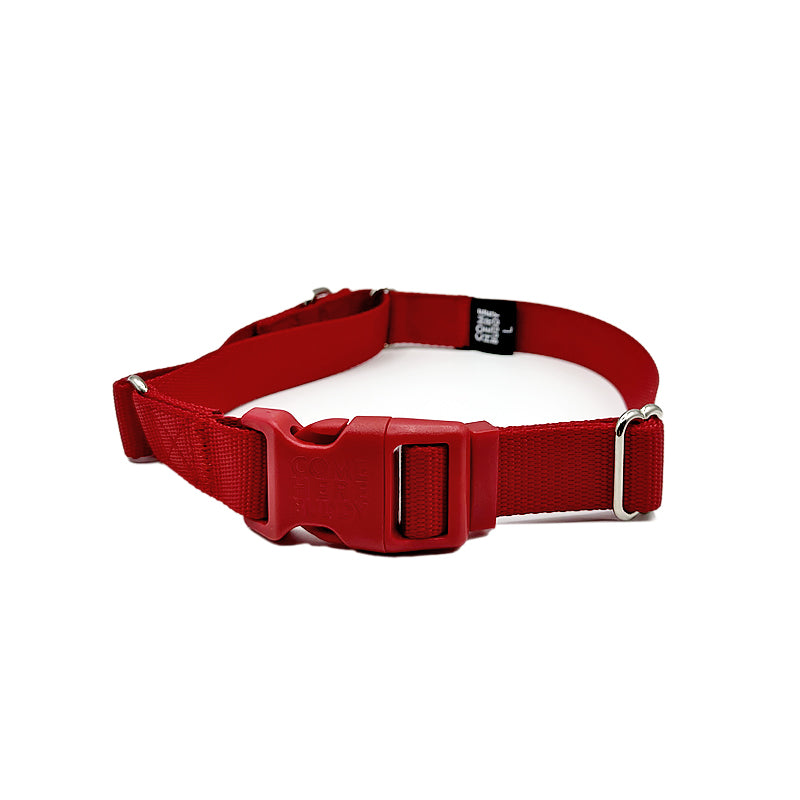 Come Here Buddy Martingale Dog Collar