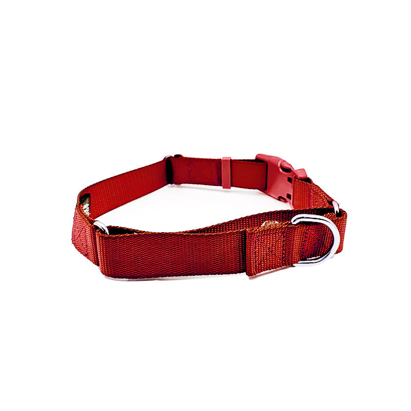 Come Here Buddy Martingale Dog Collar